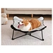 Elevated pet bed